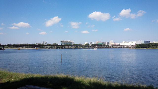 大井ふ頭中央海浜公園　運河