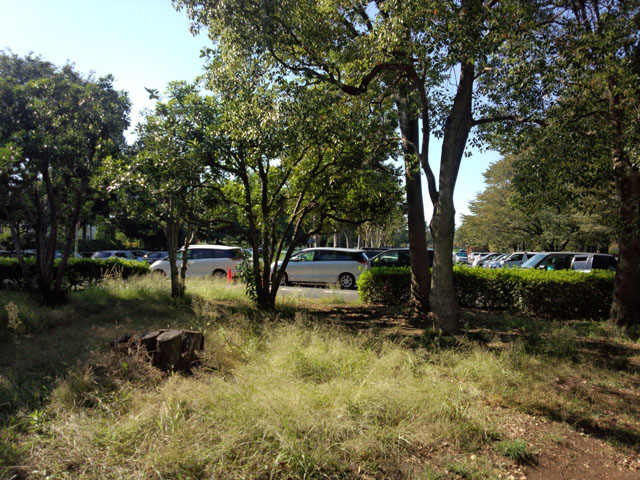 野川公園駐車場